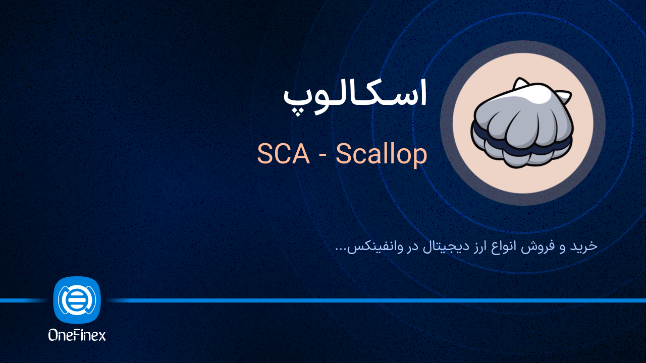 خرید و فروش اسکالوپ | قیمت اسکالوپ SCA